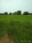 For sale:  land - Trostinka village (8371-821) | Dom2000.com #69223114