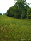 For sale:  land - Trostinka village (8371-821) | Dom2000.com #69223118