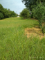 For sale:  land - Trostinka village (8371-821) | Dom2000.com #69223124