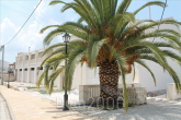 For sale:  shop - Kerkyra (Corfu island) (6825-823) | Dom2000.com