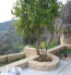For sale:  home - Iraklion (crete) (4120-826) | Dom2000.com #24558229