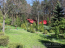 Продам дом - с. Софиевская Борщаговка (4193-826) | Dom2000.com #69035040