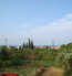 For sale:  home - Kassandra (4120-827) | Dom2000.com #24558254