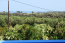 For sale:  home - Iraklion (crete) (6226-827) | Dom2000.com #41096237