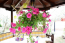 For sale:  home - Chalkidiki (7277-828) | Dom2000.com #48532175