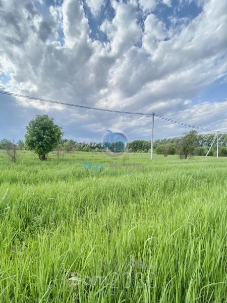 For sale:  shop - микрорайон Белые Столбы str., Domodedovo city (10517-829) | Dom2000.com