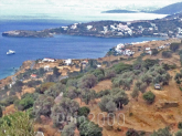 For sale:  land - Cyclades (4115-829) | Dom2000.com