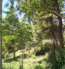 For sale:  land - Kassandra (4120-834) | Dom2000.com #24558330