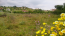 For sale:  land - Sithonia (4117-837) | Dom2000.com #24527103