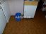 Lease 2-room apartment - Николая Закревского, 31в str., Desnyanskiy (9180-841) | Dom2000.com #62688480