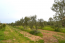 For sale:  land - Kerkyra (Corfu island) (4112-844) | Dom2000.com #24473891