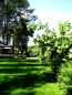 For sale cafe/restaurant - Pidgirtsi village (8664-846) | Dom2000.com #69557902