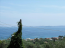 For sale:  4-room apartment - Kerkyra (Corfu island) (6663-847) | Dom2000.com #44161851