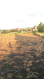 For sale:  land - Луговая ул., Cherkaska Lozova village (9594-848) | Dom2000.com #68973112