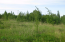 For sale:  land - Звёздная улица str., д. Mokshino (10635-853) | Dom2000.com #77821289