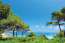 For sale:  land - Sithonia (4116-854) | Dom2000.com #24516564