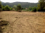 For sale:  land - Sithonia (4116-854) | Dom2000.com #24516567
