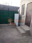 For sale:  home - улица Бурзи, Herson city (9743-854) | Dom2000.com #67793879