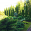 For sale:  home - 22 str., д. Novinki (10459-855) | Dom2000.com #75500908