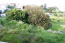 For sale:  land - Rodos (4112-859) | Dom2000.com #24474028