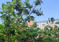 For sale:  home - 86 str., дп. Rosinka (10612-860) | Dom2000.com #77184682