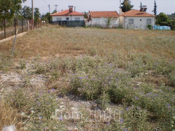 For sale:  land - Chalkidiki (4116-861) | Dom2000.com