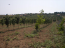 For sale:  land - Chalkidiki (4116-861) | Dom2000.com #24516667