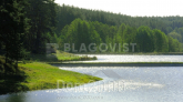 For sale:  land - Lishnya village (7831-861) | Dom2000.com