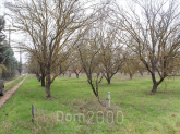 Продам земельный участок - Салоники (4119-863) | Dom2000.com