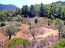 For sale:  land - Pelloponese (4111-864) | Dom2000.com #24463208