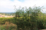 For sale:  4-room apartment - Kerkyra (Corfu island) (6765-865) | Dom2000.com #44834061