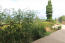 For sale:  4-room apartment - Kerkyra (Corfu island) (6765-865) | Dom2000.com #44834062
