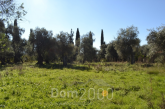 For sale:  land - Kerkyra (Corfu island) (4109-867) | Dom2000.com