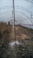 Продам дом - ул. Первомайская улица, 3б, г. Краматорск (9661-867) | Dom2000.com #67045512