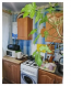 Продам двухкомнатную квартиру - Кр Ринок, г. Кропивницкий (9693-869) | Dom2000.com #67338270