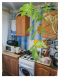 For sale:  2-room apartment - Кр Ринок, Kirovograd city (9693-869) | Dom2000.com #67338270