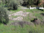 For sale:  land - Kerkyra (Corfu island) (4118-870) | Dom2000.com #24538156