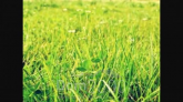 For sale:  land - Рыбалко улица, 96в str., Kramatorsk city (9661-873) | Dom2000.com