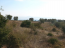 For sale:  land - Sithonia (4119-874) | Dom2000.com #24546882
