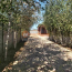 For sale:  home - улица Купецкая, Herson city (9966-874) | Dom2000.com #70051840