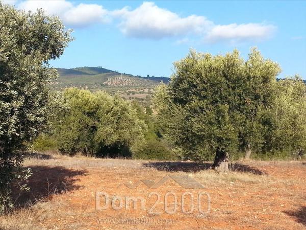 For sale:  land - Sithonia (4119-875) | Dom2000.com