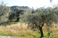 For sale:  3-room apartment - Rodos (4112-883) | Dom2000.com #24474268