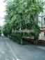 Продам 3-кімнатну квартиру - Сабурова Александра ул., 17, Троєщина (8513-885) | Dom2000.com #57582693