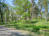 Продам земельну ділянку - Сосновая Роща, м. Ірпінь (9113-885) | Dom2000.com