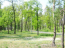 For sale:  land - Сосновая Роща, Irpin city (9113-885) | Dom2000.com #69026516