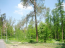 For sale:  land - Сосновая Роща, Irpin city (9113-885) | Dom2000.com #69026519