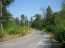 For sale:  land - Сосновая Роща, Irpin city (9113-885) | Dom2000.com #69026528