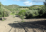 For sale:  land - Kassandra (4117-886) | Dom2000.com #24527698