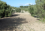 For sale:  land - Kassandra (4117-886) | Dom2000.com #24527702