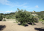 For sale:  land - Kassandra (4117-886) | Dom2000.com #24527704